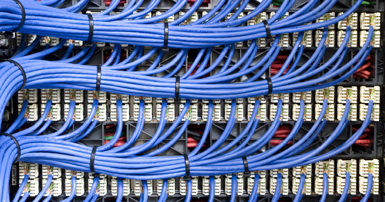 Close-up of blue Ethernet patch cables neatly bundled and connected to a network patch panel